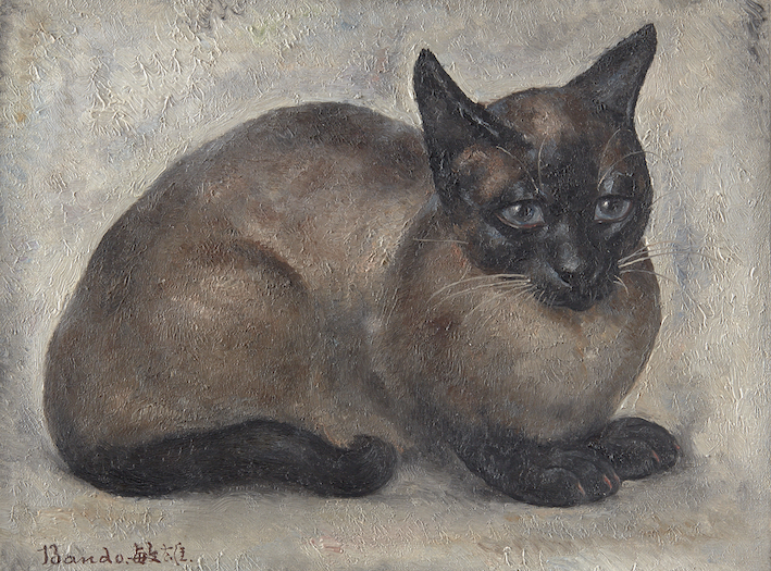 Chat siamois assis
