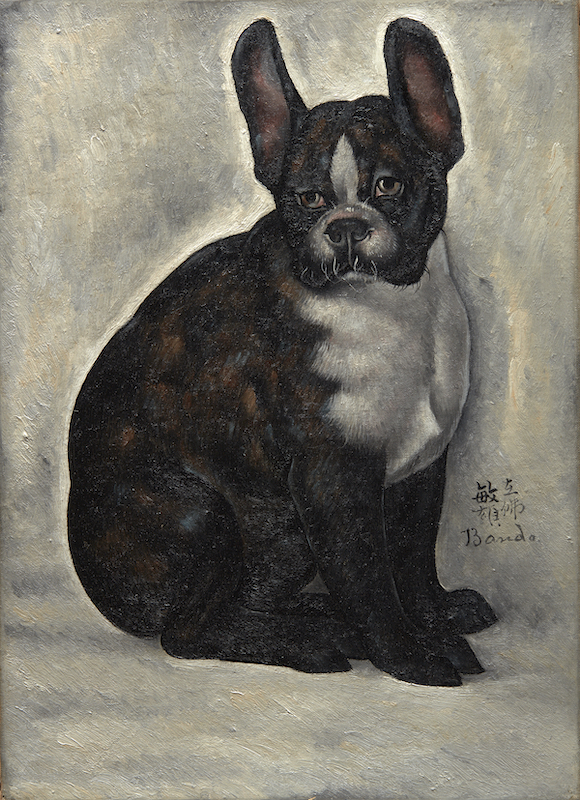 Bouledogue assis